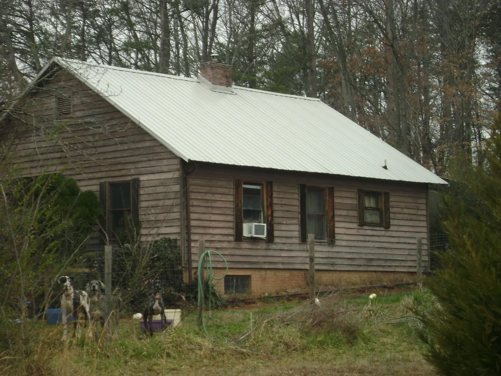 White metal roof on an old wood sided farmhouse, from a Asphalt Shingle Roof Repair job in Watertown
